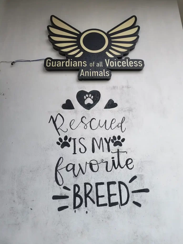 IMG_20250901_143037831