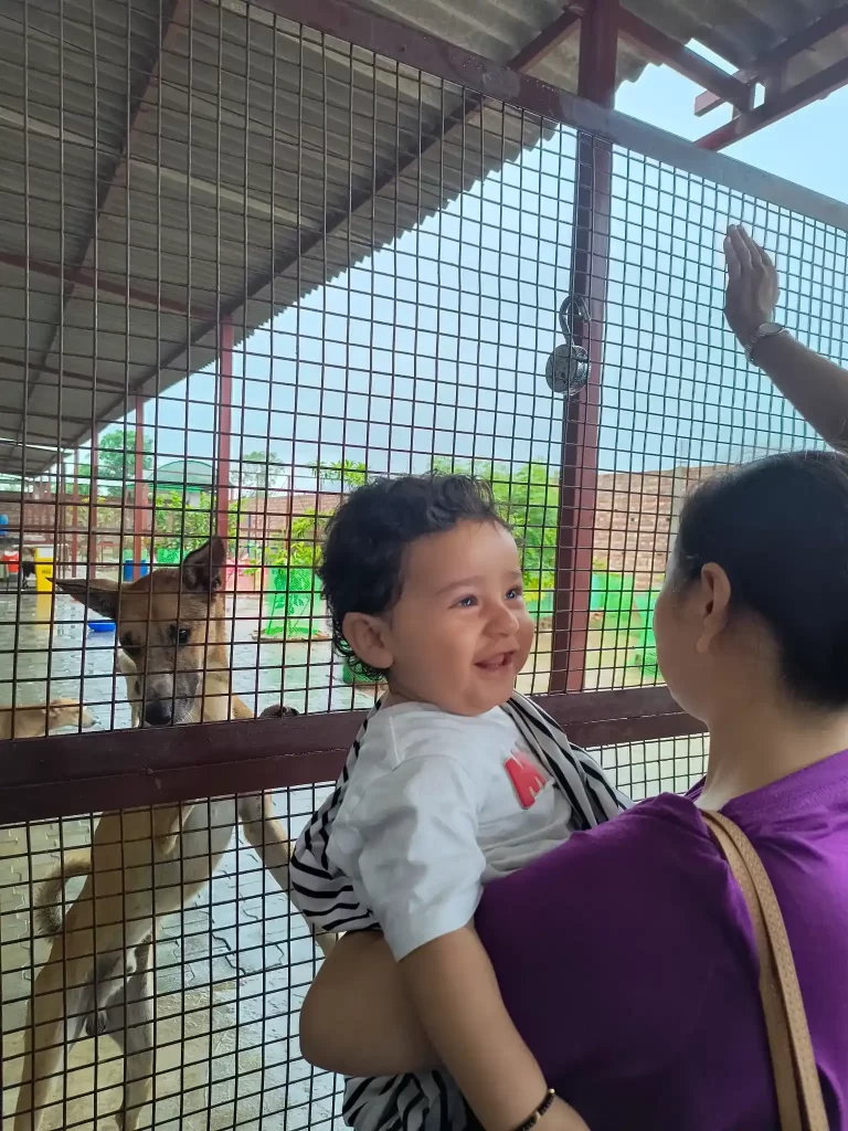 IMG_20250901_143223720_HDR